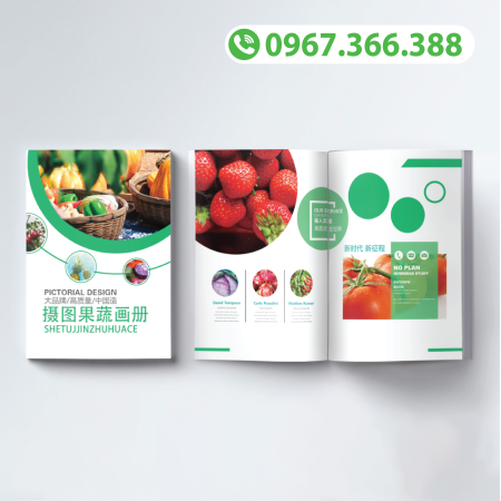 Catalogue nông sản